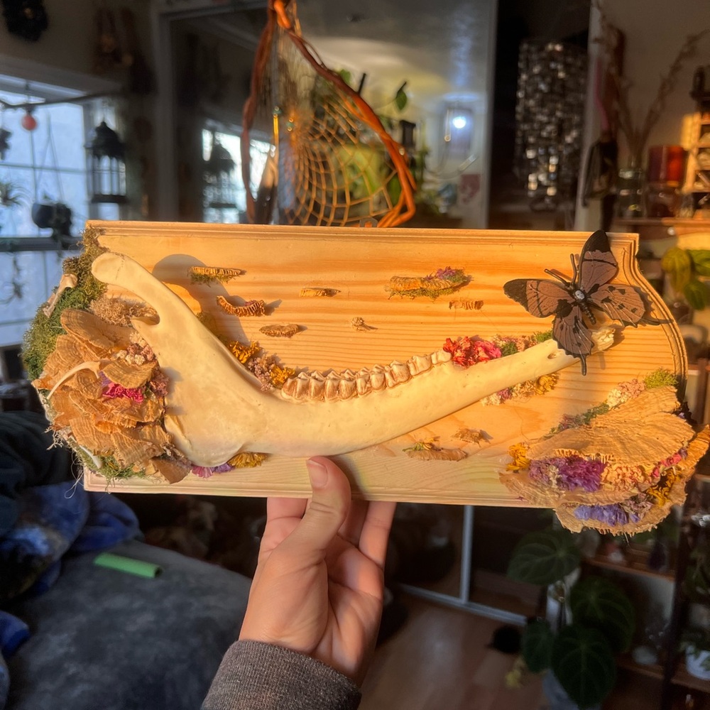 Unique Handmade Jawbone Art with Butterfly